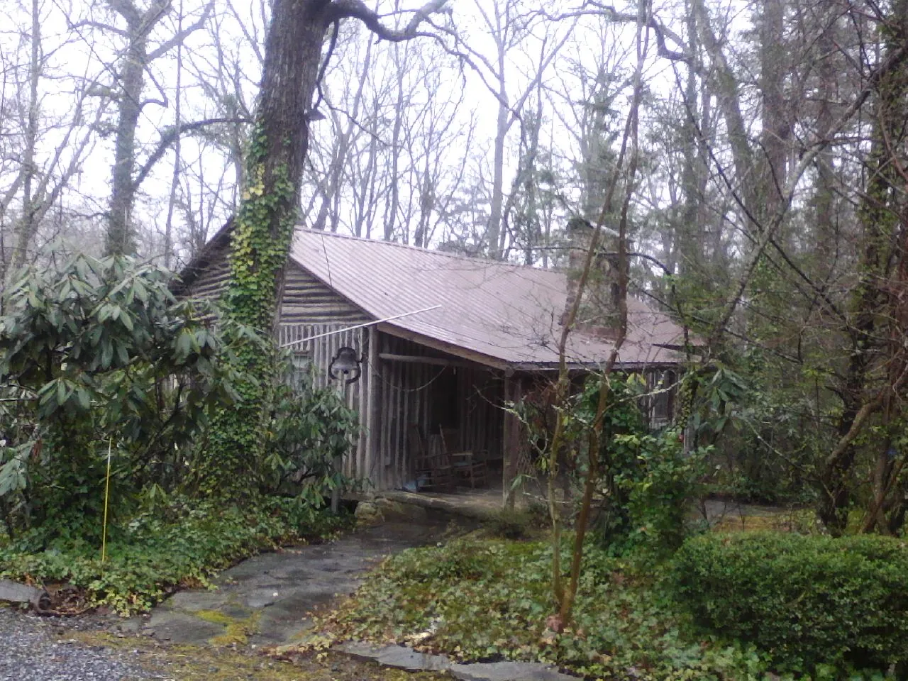 Weathered metal roof on an old board sided cabin in the woods in Loudonville